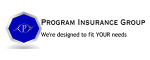 Program Insurance Group